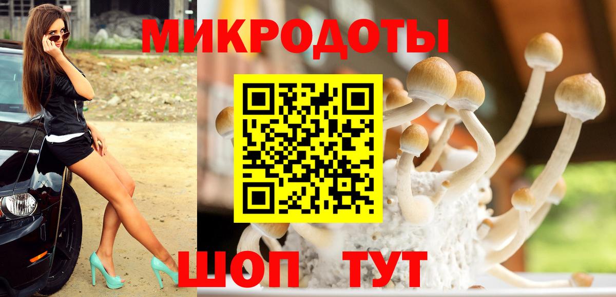 Новочеркасск  Псилоцибиновые грибы Magic Shrooms  Вход с VPN  Галлюциногенные грибы Cubensis 